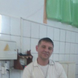 Николай, 51, Гвардейск