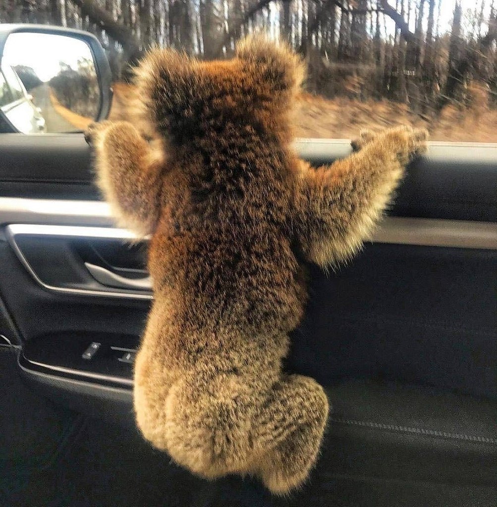 �����c�� ����� ����� ����������� - 8