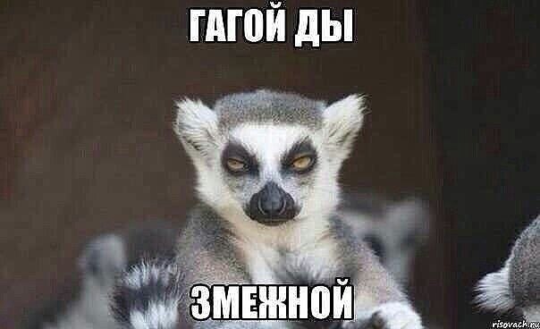 ***Victoria Viktorovna*** - 13  2021  04:47