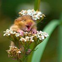 ���� Evi, ������ - ��������� 9 ������� 2021 � ������ ������ ��������