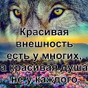 ���� ����, ��������, 46 ��� - ��������� 2 ������ 2021