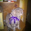 ���� �������, ��������, 75 ��� - ��������� 19 ���� 2021 � ������ ���� ����������