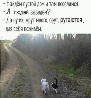   ! - 18  2021  23:47