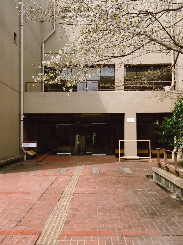 yya, o - 6