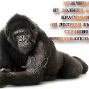 ���� ����, ��������, 38 ��� - ��������� 17 ������� 2021 � ������ ���� ����������