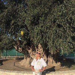 ���, ������, 55 ���