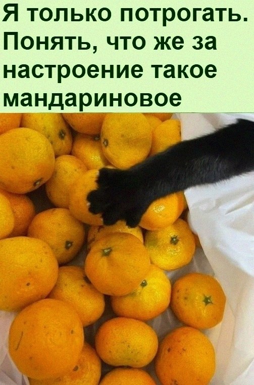 -   ? -  ,   -....