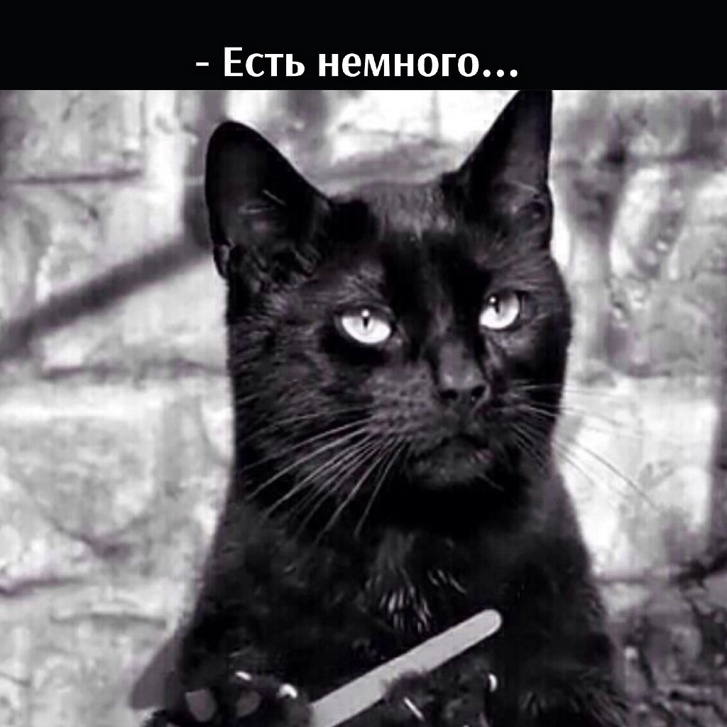       - 21  2021  16:34 - 2