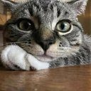 ���� ��������, ��������, 57 ��� - ��������� 29 ������� 2021