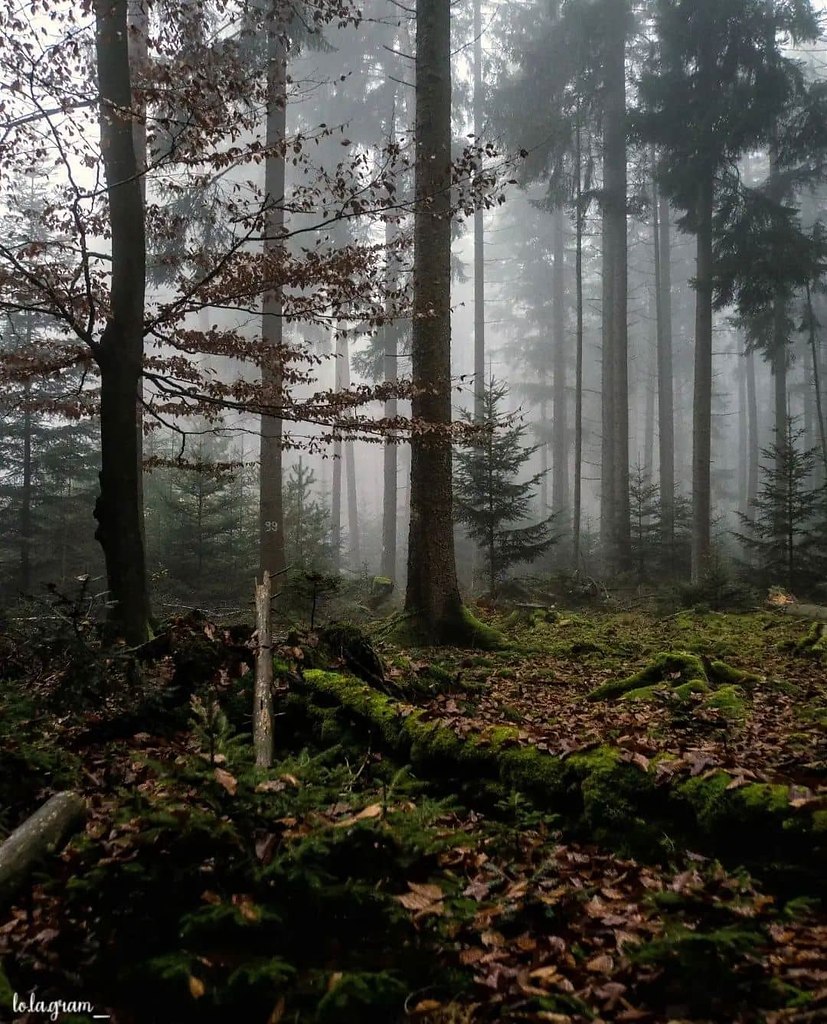 W�RLD.�ce o �����ec������������� ���� � ����