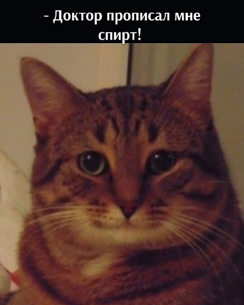 ��� ���� � ����� �� �� - 21 ������� 2021 � 16:02