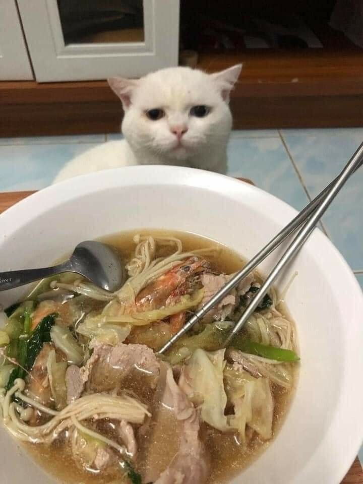    . - 3