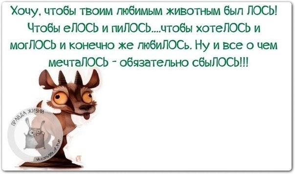 ������ ����� - 11 ������ 2021 � 19:02