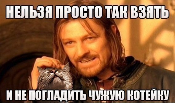    - 14  2021  06:33