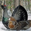 ���� ���������, ��������, 69 ��� - ��������� 11 ������ 2021 � ������ ������ ��������