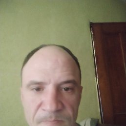 , 40, 