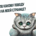���� ����, ������ - ��������� 19 ��� 2021 � ������ ���� ����������