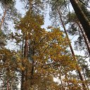  , , 75  -  27  2021    -    .    !