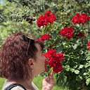 ���� ��������, �����-���������, 52 ���� - ��������� 14 ���� 2021 � ������ ���� ����������