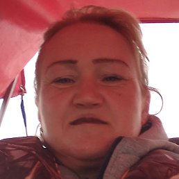 ���, ��������, 44 ����