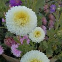 ���� ��������, ����� - ��������� 18 ������� 2021 � ������ �������