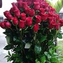 ���� �������, ������ - ��������� 6 ������� 2021 � ������ ���� ����������