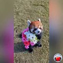���� ������, ������, 68 ��� - ��������� 22 ������ 2021 � ������ ���� ���� ������