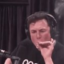 ���� ��������, �������� - ��������� 2 ������� 2022 � ������ ���� ����������