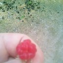  , , 42  -  30  2022    ...