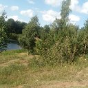 ���� Haver Santa, ���������� ����� - ��������� 28 ���� 2021 � ������ �:)�