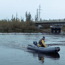 �������, �����������, 71 ���