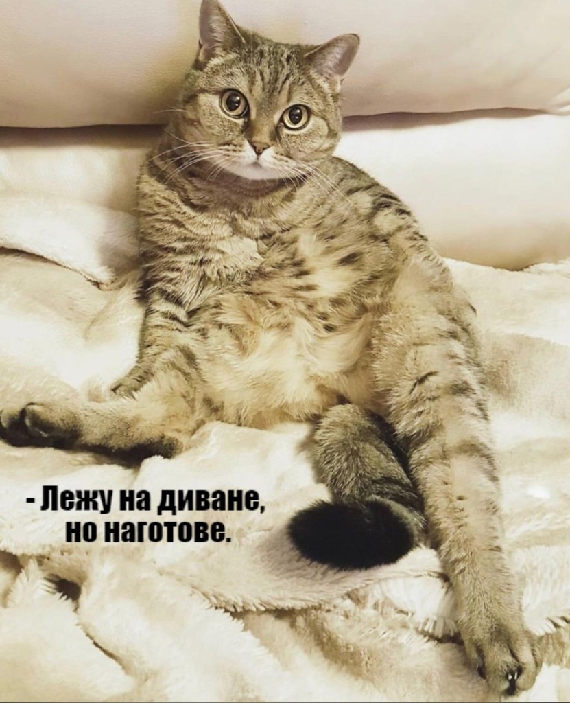       - 9  2021  22:36 - 4