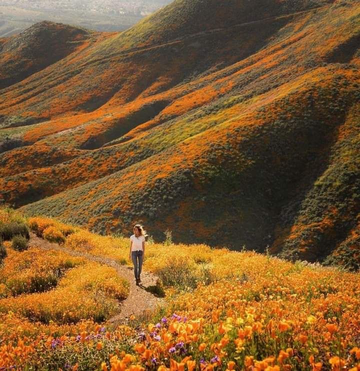 �� ������� �� � ���... � �� � ���.... � � � � � � � ..... ������� - ���� �����... � ���� - �����....