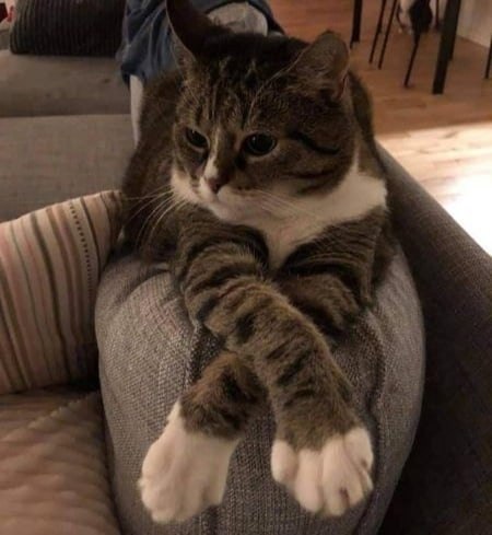    : - 3