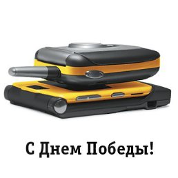 Slava, ���, 65 ���