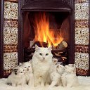 ���� ������, ������, 54 ���� - ��������� 14 �������� 2021 � ������ ���� ����������