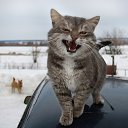 ���� ���������, �����������, 58 ��� - ��������� 28 ������ 2021 � ������ ���� ����������