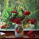 ���� ���������, ����� - ��������� 21 �������� 2021 � ������ ������ ��������