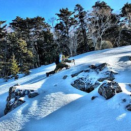 ����, ������, 81 ���