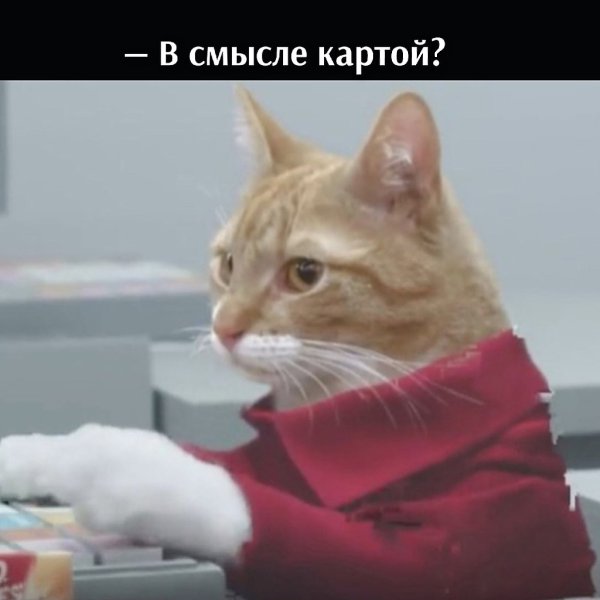 ��� ���� � ����� �� �� - 14 ���� 2021 � 19:06 - 3