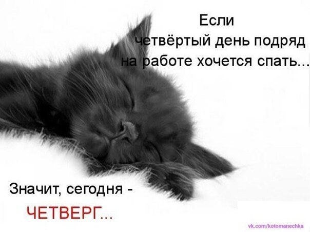    - 16  2021  06:43