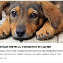 ���� ����, �����-���������, 52 ���� - ��������� 12 ������� 2021 � ������ ������ ��������