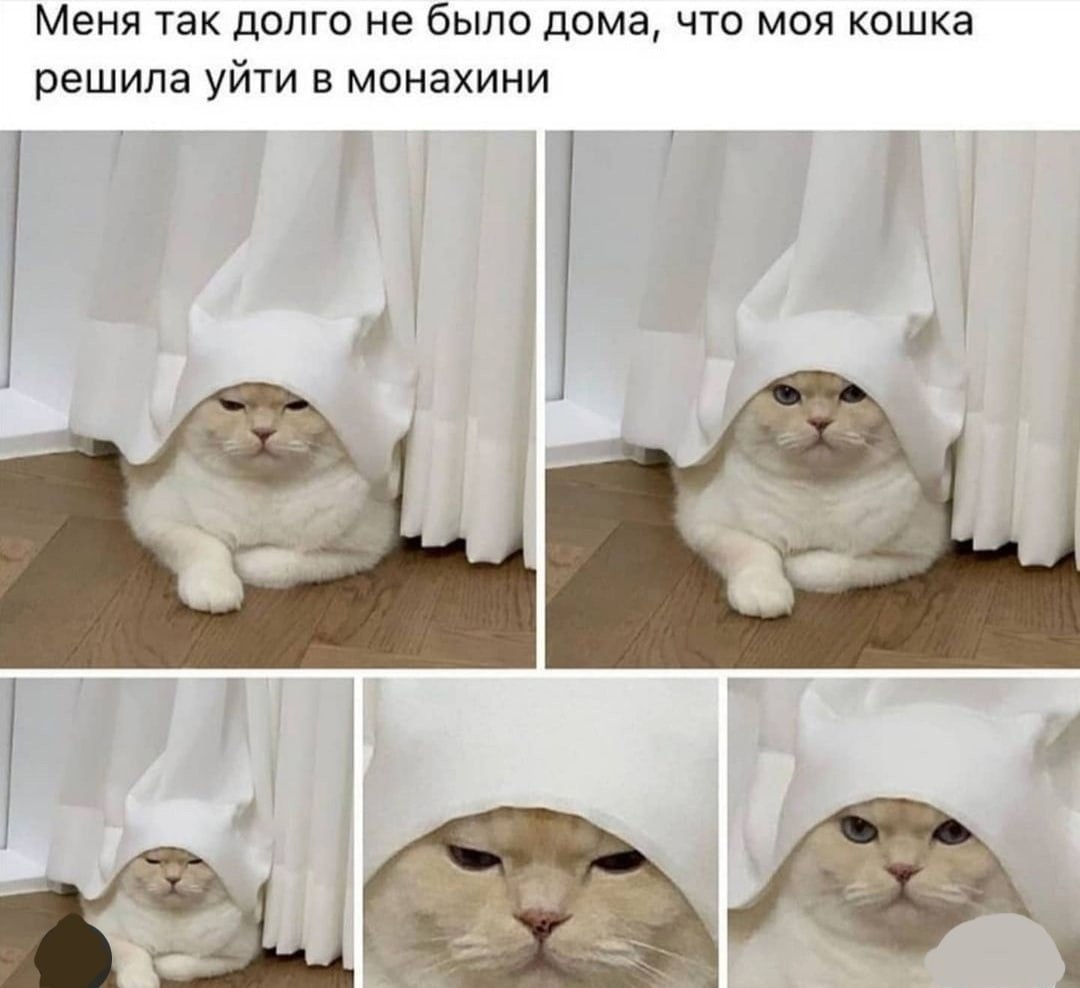     ?
