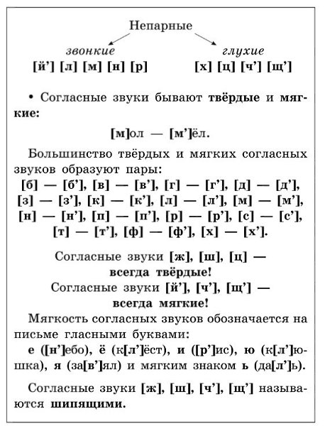 Стул твердые согласные звуки