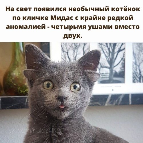 Потому что все самое лучшее в этом мире - несовершенно.