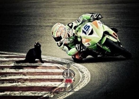 радействийстоиттоннытеорий. сеобизнесеинетоьо Дyайиоатей Потенциал!