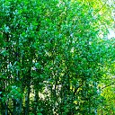 ���� ������, �����-���������, 44 ���� - ��������� 4 ���� 2021 � ������ ����� �������