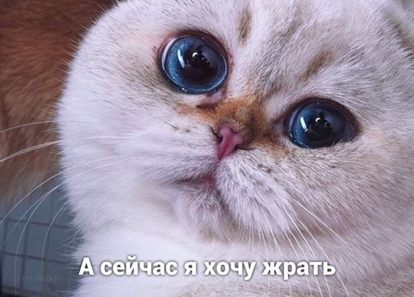    :  - 3