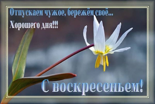 ����������� � ���������, �������� �� ������ ����. - 18 ������ 2021 � 08:47 - 8