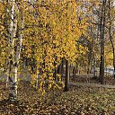 ���� ���������, ��������, 51 ��� - ��������� 25 �������� 2021 � ������ ���� ����������